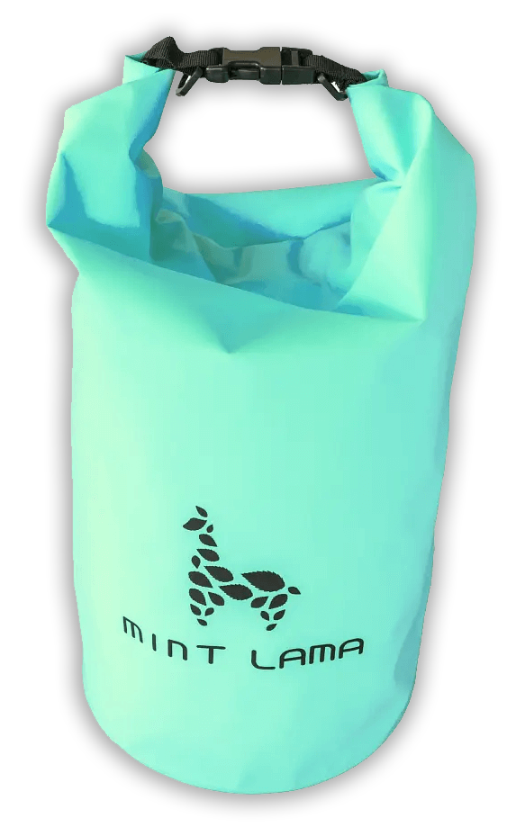 1_Mint20L2_dropshadow
