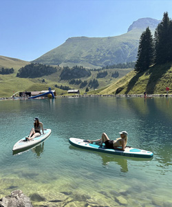 brandsee-3